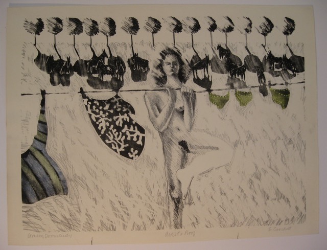 Grassy Domesticity1a