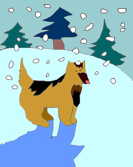 Snowfall